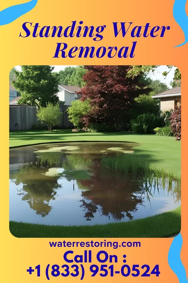 Standing Water Removal in West Lealman, FL